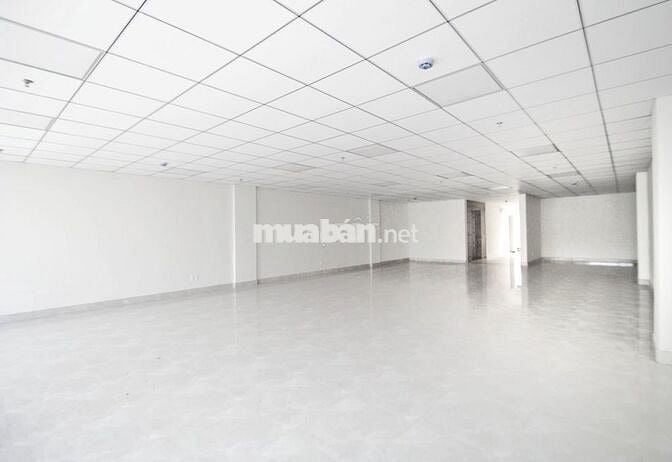 Cho thuê tòa nhà văn phòng Trường Sơn Tân Bình. Hầm 5 tầng, giá ưu đãi