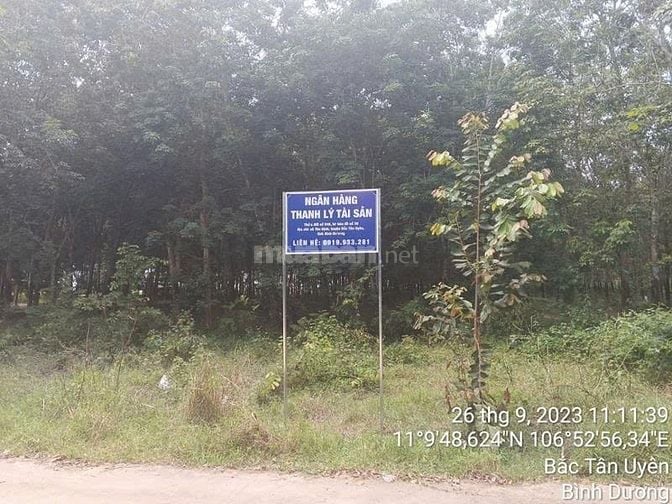 Công ty Đấu giá hợp danh Lam Sơn Sài Gòn THÔNG BÁO ĐẤU GIÁ TÀI SẢN