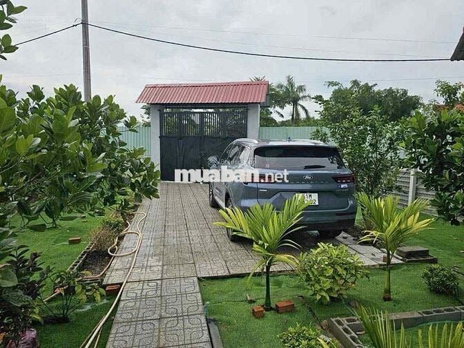 Đất vườn 1200m2 ngay trung tâm Gò Dầu, SHR, dân cư đông đúc, giá 1 tỷ