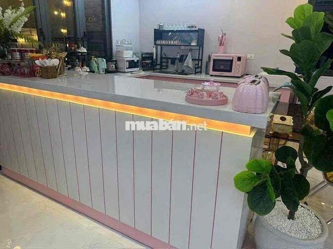 Homestay mặt tiền hẻm 88 Lữ Gia DT: 659m2 (12x60m) sẵn 300m thổ cư