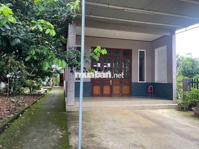 Nhà vườn Bảo Lộc hẻm nhựa 2 oto lữ Gia DT:480m2 (12x40m) - Thổ cư 200m