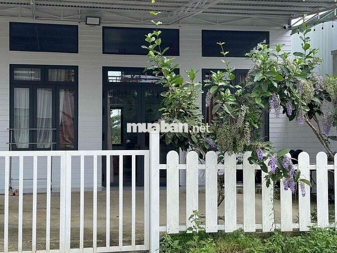 Homestay mặt tiền hẻm 88 Lữ Gia DT: 659m2 (12x60m) sẵn 300m thổ cư