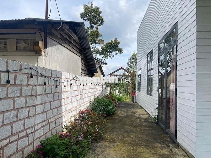 Homestay mặt tiền hẻm 88 Lữ Gia DT: 659m2 (12x60m) sẵn 300m thổ cư