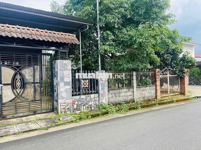 Nhà vườn Bảo Lộc hẻm nhựa 2 oto lữ Gia DT:480m2 (12x40m) - Thổ cư 200m