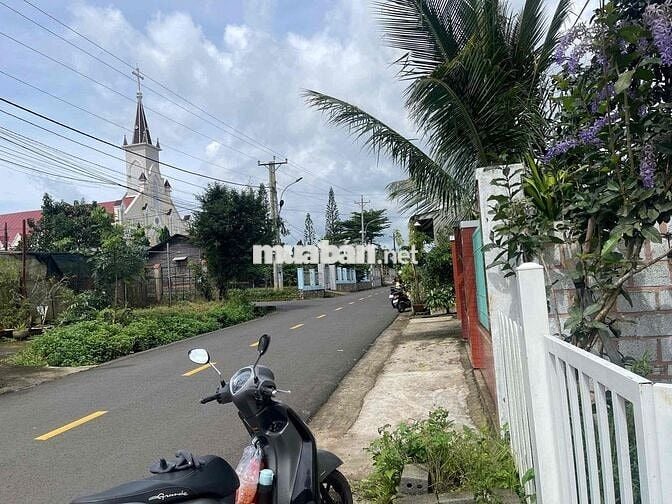 Homestay mặt tiền hẻm 88 Lữ Gia DT: 659m2 (12x60m) sẵn 300m thổ cư