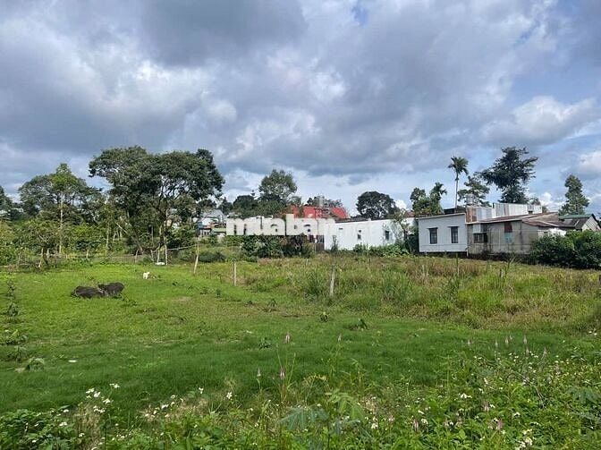 Đất mặt tiền Triệu Quang Phục 10x43m - thổ cư 100m view núi đường lớn