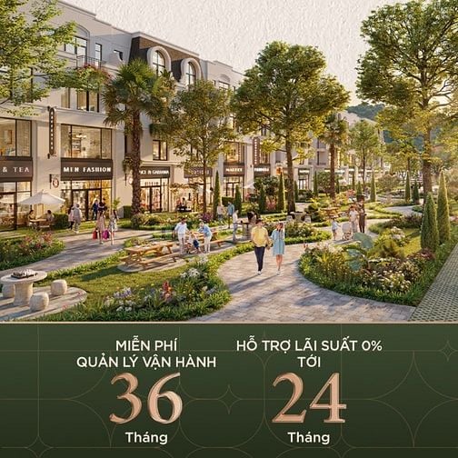 Đầu tư an toàn, tích sản bền vững với dự án Vlasta Thủy Nguyên của chủ