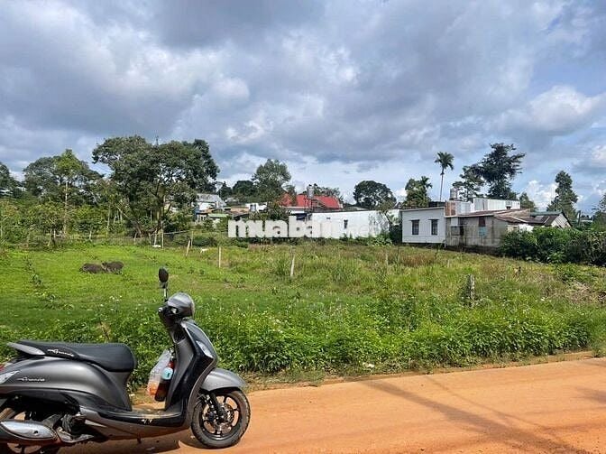 Đất mặt tiền Triệu Quang Phục 10x43m - thổ cư 100m view núi đường lớn