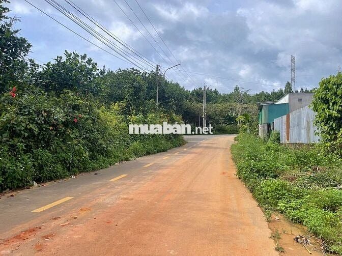 Đất mặt tiền Triệu Quang Phục 10x43m - thổ cư 100m view núi đường lớn