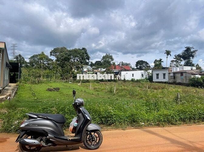 Đất mặt tiền Triệu Quang Phục 10x43m - thổ cư 100m view núi đường lớn