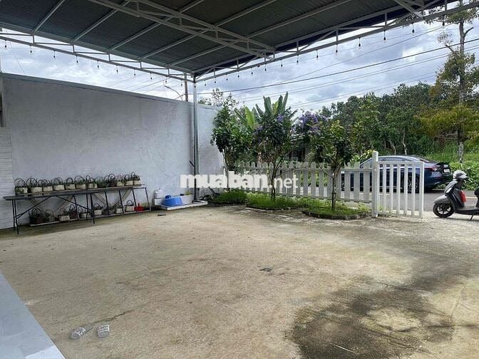 Homestay mặt tiền hẻm 88 Lữ Gia DT: 659m2 (12x60m) sẵn 300m thổ cư