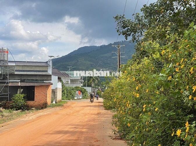 Đất mặt tiền Triệu Quang Phục 10x43m - thổ cư 100m view núi đường lớn