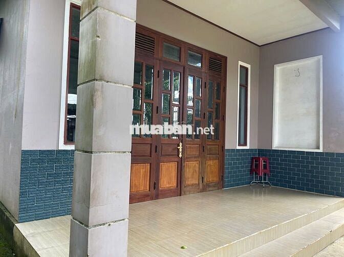 Nhà vườn Bảo Lộc hẻm nhựa 2 oto lữ Gia DT:480m2 (12x40m) - Thổ cư 200m