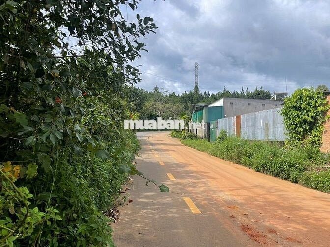 Đất mặt tiền Triệu Quang Phục 10x43m - thổ cư 100m view núi đường lớn