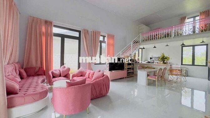 Homestay mặt tiền hẻm 88 Lữ Gia DT: 659m2 (12x60m) sẵn 300m thổ cư