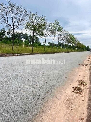 Bán đất mặt tiền đường Vành đai 4 chỉ hơn 3 tỷ sổ sẵn công chứng ngay