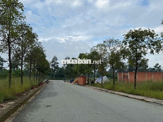 Bán đất mặt tiền đường Vành đai 4 chỉ hơn 3 tỷ sổ sẵn công chứng ngay
