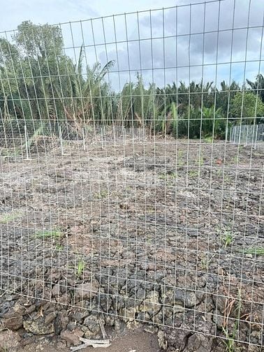 Cần bán 377m2 đất cây lâu năm đường liên ấp 2-3, Hiệp Phước, Nhà Bè 