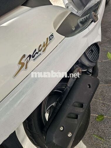 Spacy Nhật 2000 gin