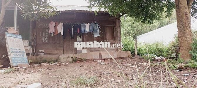 cho thuê mặt bằng ngay ngã 3 phú hội