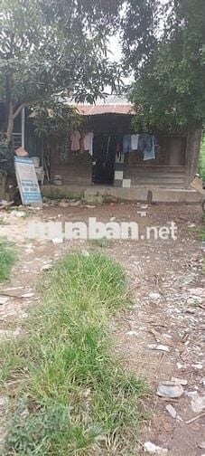 cho thuê mặt bằng ngay ngã 3 phú hội