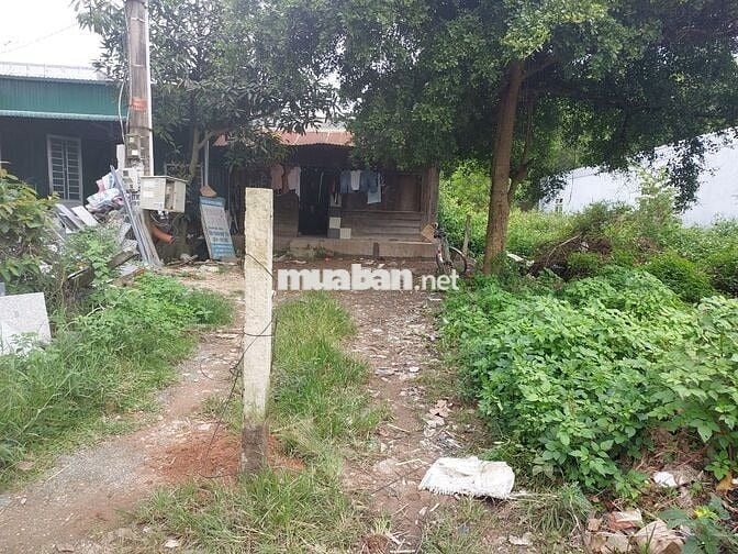 cho thuê mặt bằng ngay ngã 3 phú hội