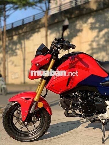 Honda MSX125 biển tp- 2023 xe lướt đẹp leng keng