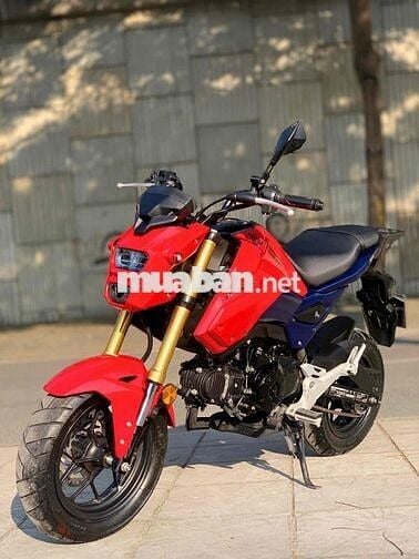 Honda MSX125 biển tp- 2023 xe lướt đẹp leng keng