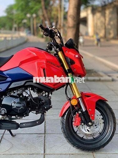 Honda MSX125 biển tp- 2023 xe lướt đẹp leng keng