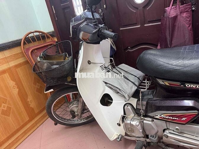 xe drem zin , đựo người già đi