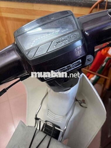 xe drem zin , đựo người già đi