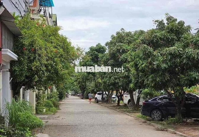 Bán đất 2 mặt thoáng, ô tô tránh, Gần HV Nông Nghiệp, Xây Dòng Tiền