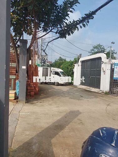 Đất siêu đẹp hẻm 8m bà triệu hóc môn