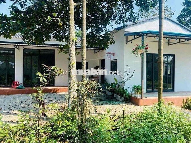 🔥 THANH LÝ GẤP LÔ ĐẤT VƯỜN GIÁ RẺ 3200M2 GIÁ 259 TRIỆU NGAY QL13🔥