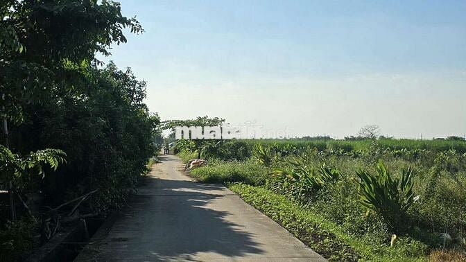 BÁN 1030M ĐẤT CẠNH TRƯỜNG HỌC LỆ CHI GIA LAM