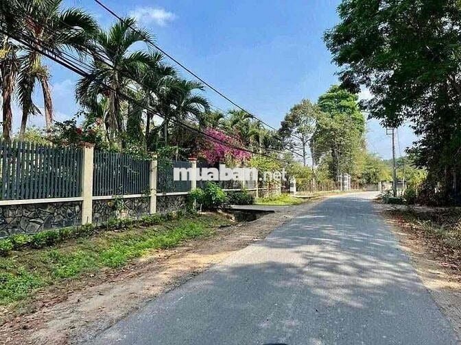 🔥 THANH LÝ GẤP LÔ ĐẤT VƯỜN GIÁ RẺ 3200M2 GIÁ 259 TRIỆU NGAY QL13🔥