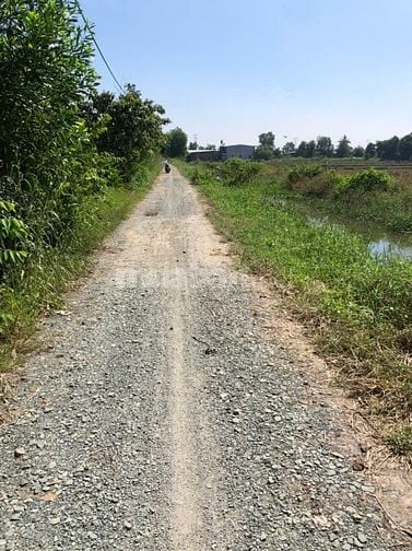 Sang nhượng đất trồng cây lâu năm ở xã Tân Phú Trung, huyện Củ Chi.