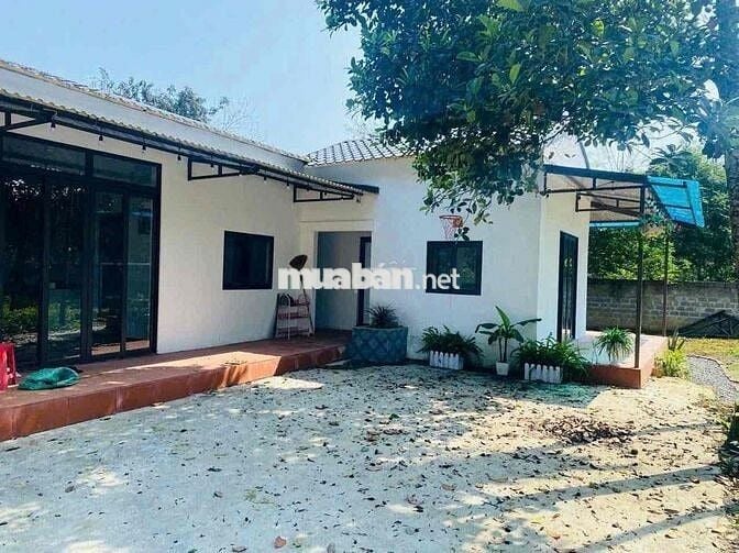 🔥 THANH LÝ GẤP LÔ ĐẤT VƯỜN GIÁ RẺ 3200M2 GIÁ 259 TRIỆU NGAY QL13🔥