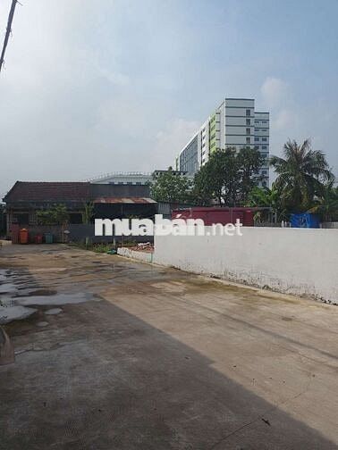 Đất siêu đẹp hẻm 8m bà triệu hóc môn