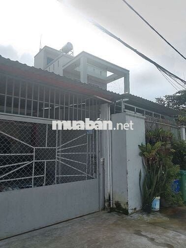 Đất siêu đẹp hẻm 8m bà triệu hóc môn