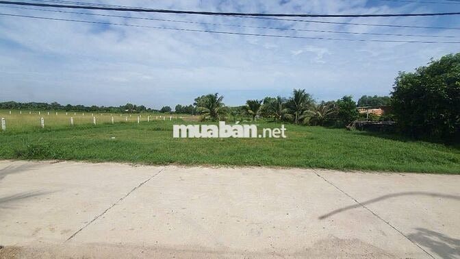 🏡 Đất 1034m² Phước Thạnh – có 300m² thổ, QHKDC xây ngay, giá 3.6 t