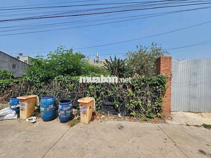 Đất Đoàn Thị Kia phường Tân Đông Hiệp Tp Dĩ An