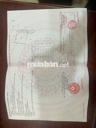 🏡 Đất 1034m² Phước Thạnh – có 300m² thổ, QHKDC xây ngay, giá 3.6 t