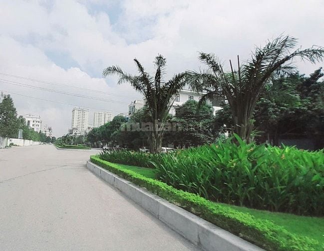 Bán đất Đông Vệ ,gần trường, chợ,công viên lớn ,đường xá đi linh hoạt