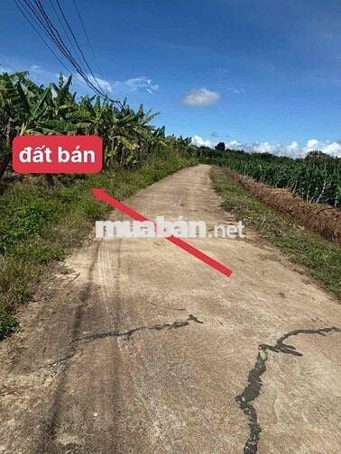 ĐẤT GIÁP SÔNG CHẤT ĐẤT PHA ĐỎ Ở GẦN TRUNG TÂM EAKAR