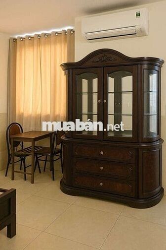 Cho thuê nguyên lầu 3PN 3WC giống chung cư,