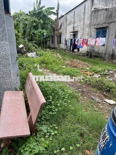 CHỦ GỬI BÁN - MT ĐƯỜNG THỊ TRẤN CỦ CHI-181M2 SHR-CHỦ NGỘP CHỈ 650TR