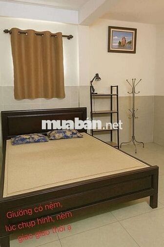 Cho thuê nguyên lầu 3PN 3WC giống chung cư,