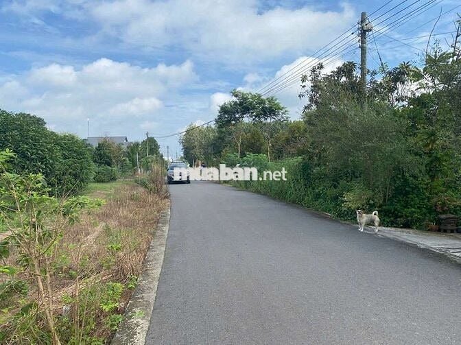 Bán lô đất mặt tiền nhựa cách chợ 100m ...