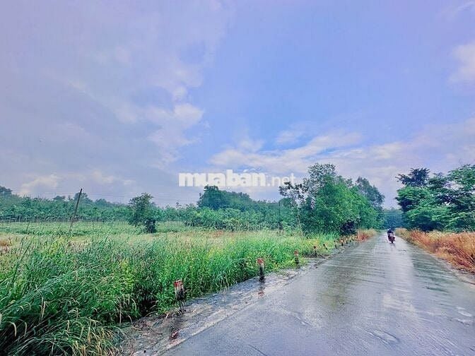 Chủ mới gửi cần bán gấp lô đất ở Minh Thạnh, Dầu Tiếng, 181m2, 270tr.